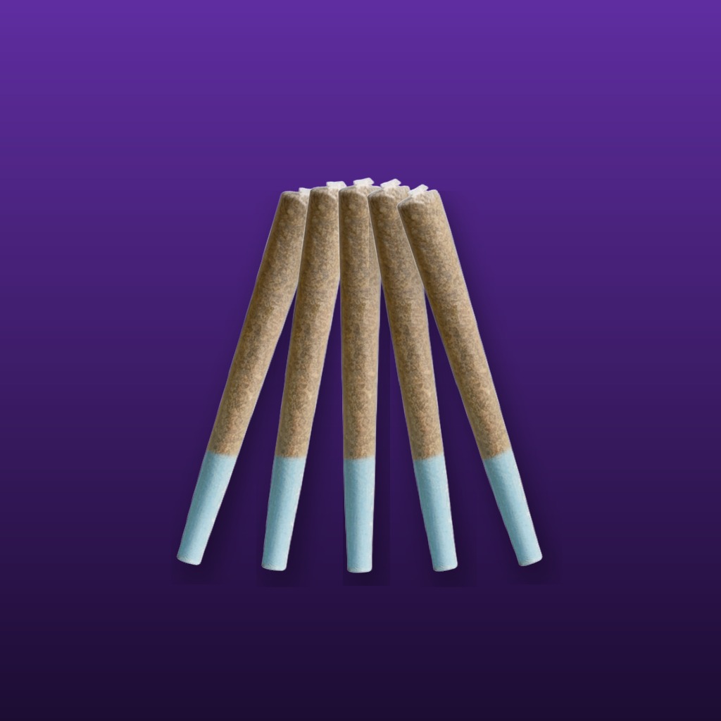 Cannaculture Mini Pack 5x