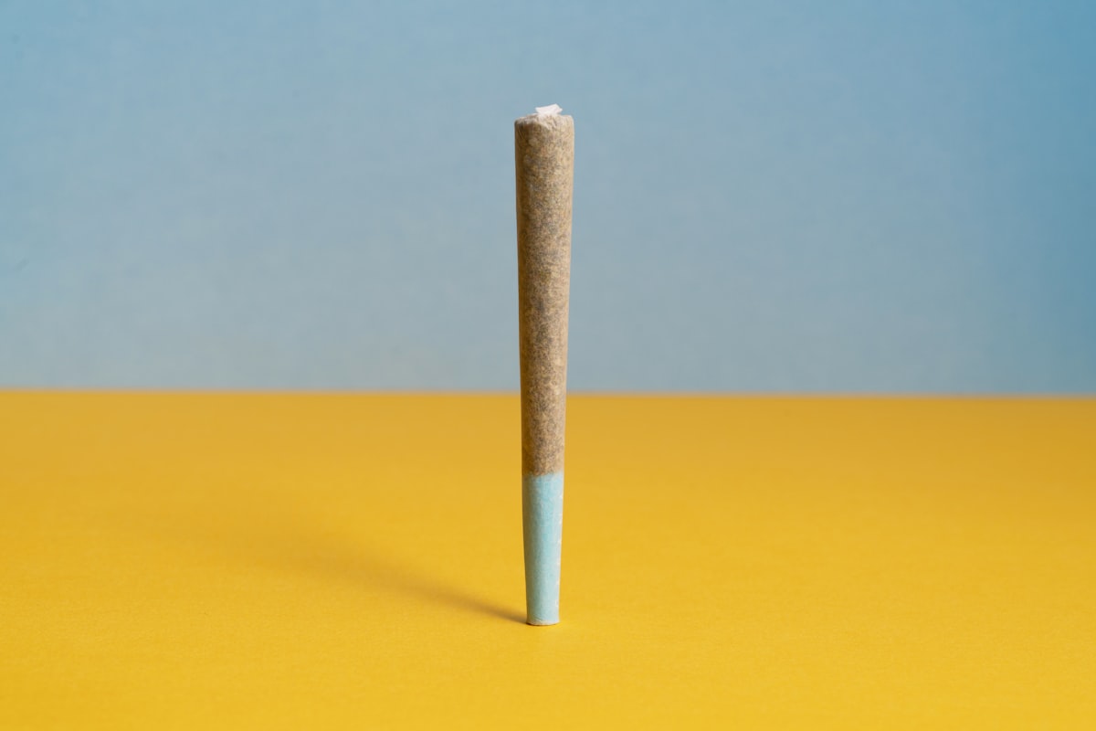 Gelato Single Pre-Roll
