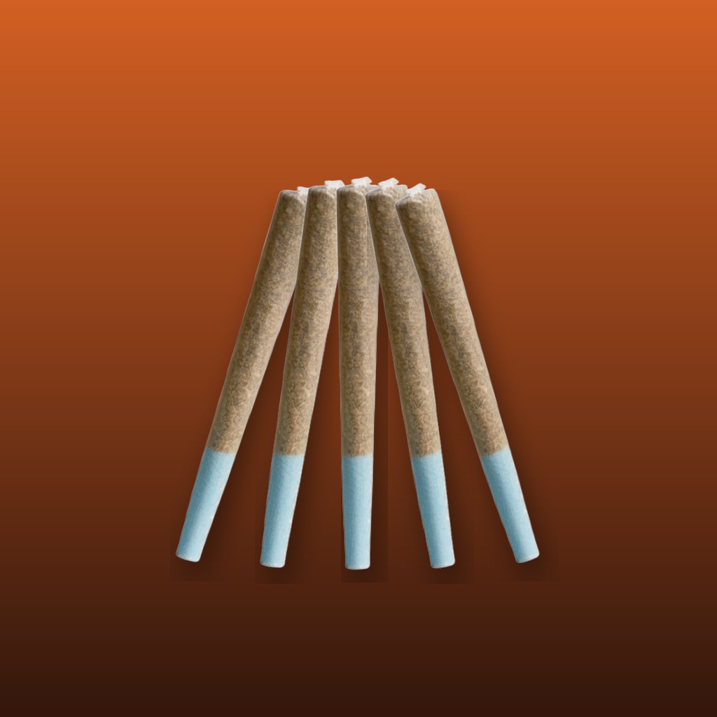 Sativa Mini Pack 5-pack